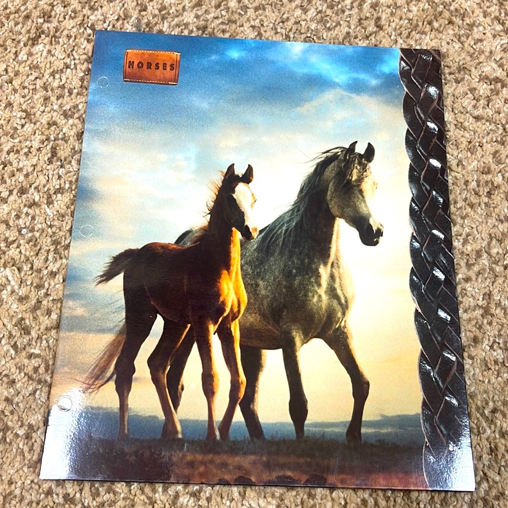 Vintage 90s Horses folder
